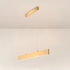 Подвесной светильник Technical P010PL-L23G3K