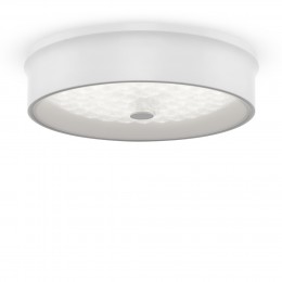 Потолочный светильник Freya FR10011CL-L24W