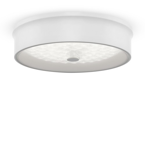 Потолочный светильник Freya FR10011CL-L24W