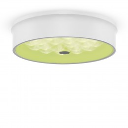 Потолочный светильник Freya FR10011CL-L24W