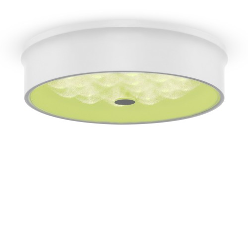 Потолочный светильник Freya FR10011CL-L24W