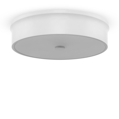 Потолочный светильник Freya FR10011CL-L24W