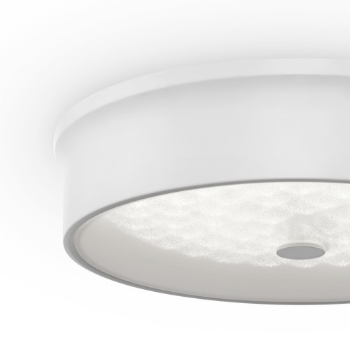 Потолочный светильник Freya FR10011CL-L24W