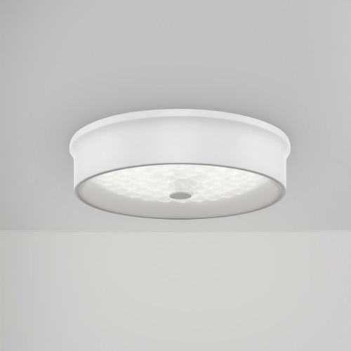 Потолочный светильник Freya FR10011CL-L24W