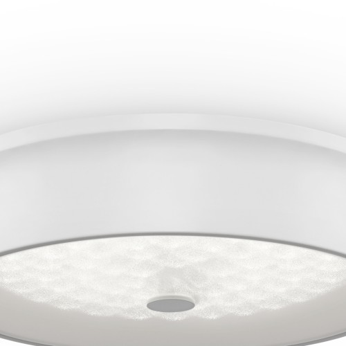 Потолочный светильник Freya FR10011CL-L24W