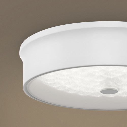 Потолочный светильник Freya FR10011CL-L24W