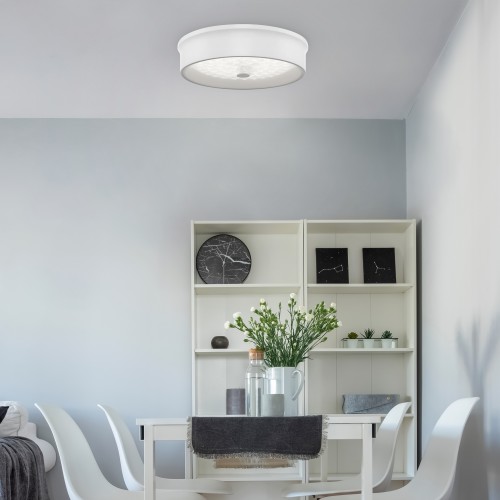 Потолочный светильник Freya FR10011CL-L24W