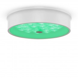 Потолочный светильник Freya FR10011CL-L24W