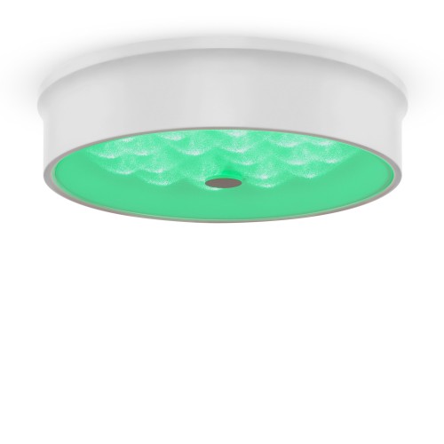 Потолочный светильник Freya FR10011CL-L24W