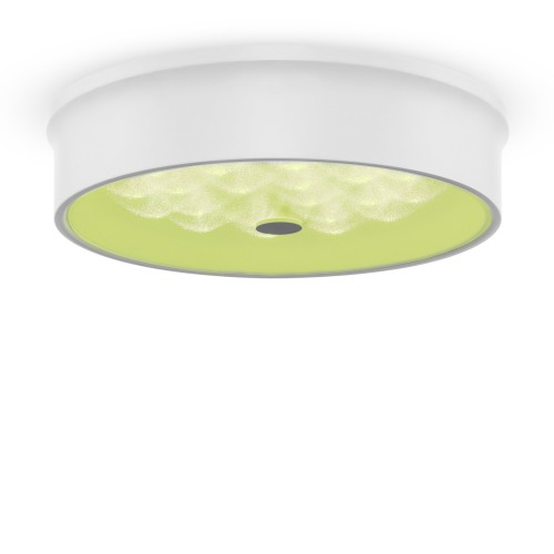 Потолочный светильник Freya FR10011CL-L24W