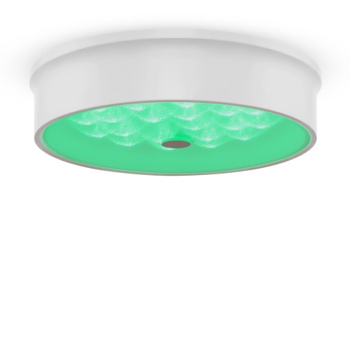 Потолочный светильник Freya FR10011CL-L24W