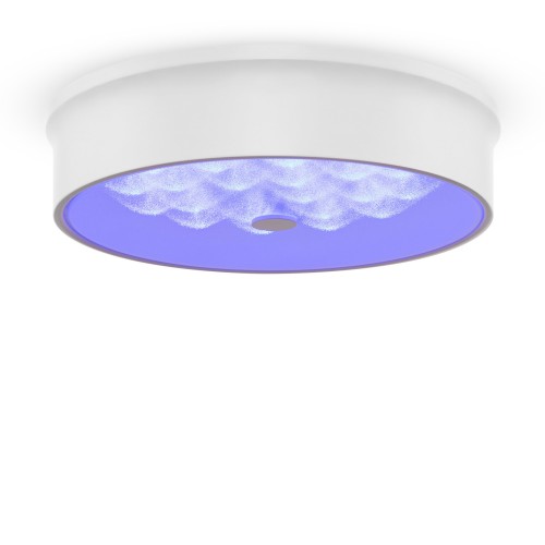 Потолочный светильник Freya FR10011CL-L24W