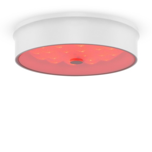 Потолочный светильник Freya FR10011CL-L24W