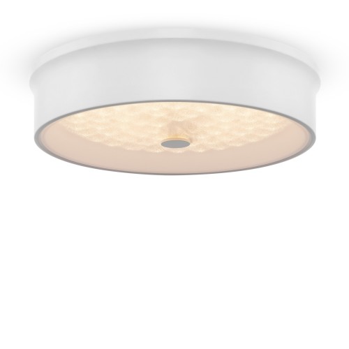 Потолочный светильник Freya FR10011CL-L24W