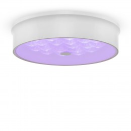 Потолочный светильник Freya FR10011CL-L24W