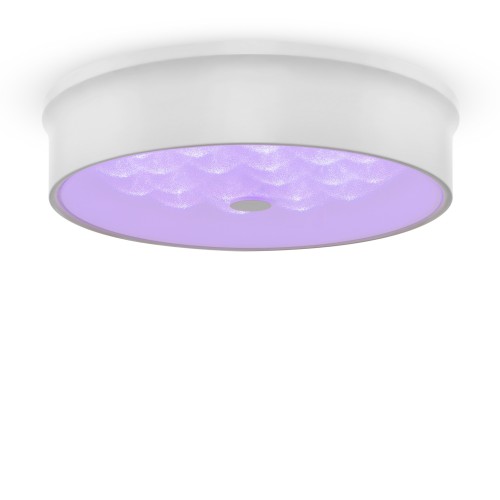 Потолочный светильник Freya FR10011CL-L24W