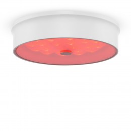 Потолочный светильник Freya FR10011CL-L24W