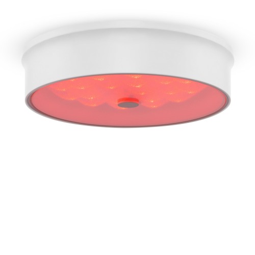 Потолочный светильник Freya FR10011CL-L24W