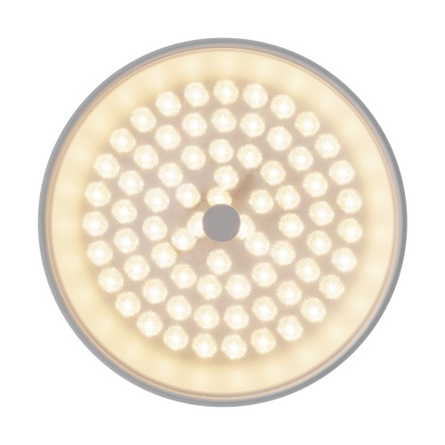 Потолочный светильник Freya FR10011CL-L24W