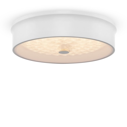 Потолочный светильник Freya FR10011CL-L24W