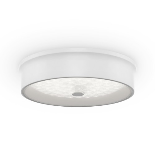 Потолочный светильник Freya FR10011CL-L24W