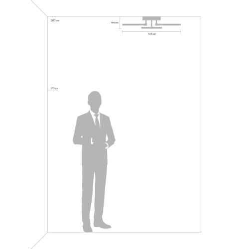 Потолочный светильник Freya FR10018CL-L51W