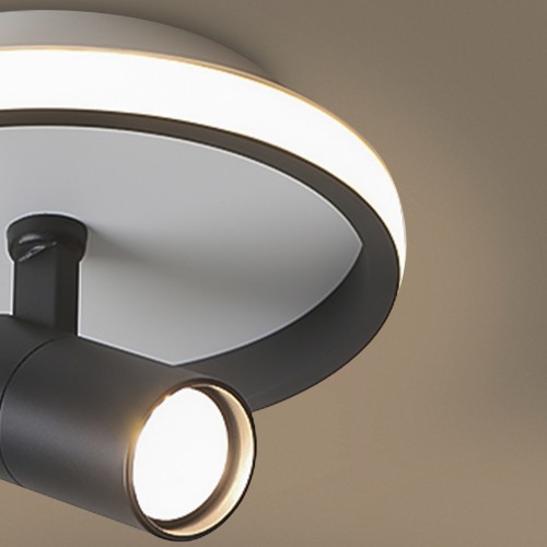 Потолочный светильник Freya FR6040CL-L14B