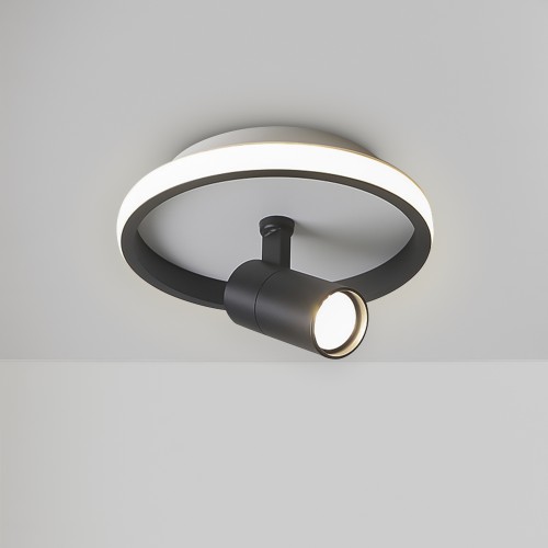 Потолочный светильник Freya FR6040CL-L14B