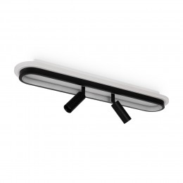 Потолочный светильник Freya FR6088CL-L48B