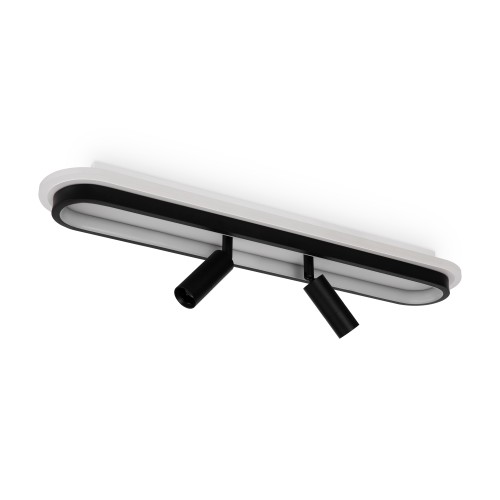 Потолочный светильник Freya FR6088CL-L48B