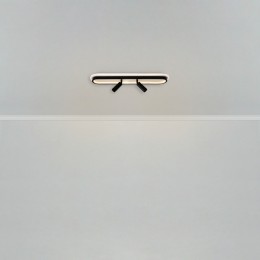 Потолочный светильник Freya FR6088CL-L48B