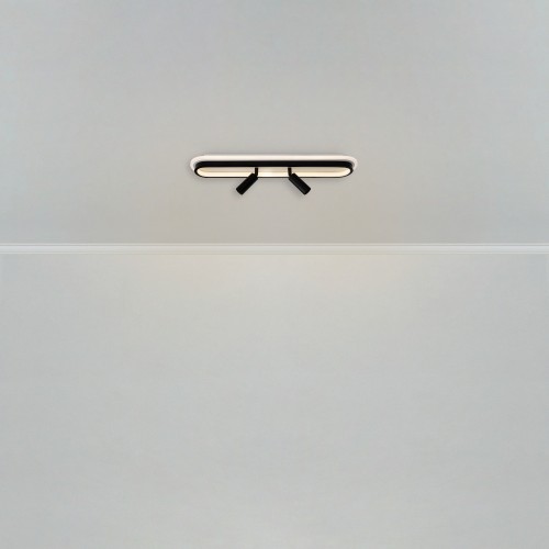 Потолочный светильник Freya FR6088CL-L48B