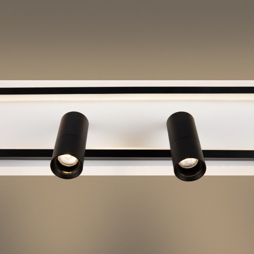 Потолочный светильник Freya FR6088CL-L48B