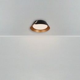 Потолочный светильник Freya FR6092CL-L72GB