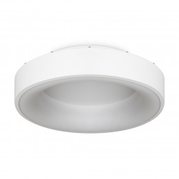 Потолочный светильник Freya FR6118CL-L45W