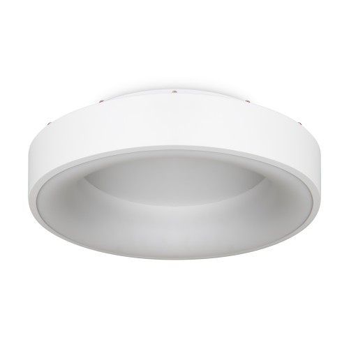 Потолочный светильник Freya FR6118CL-L45W