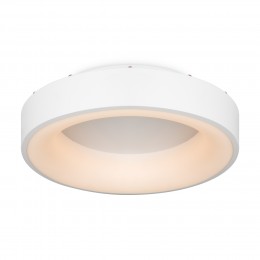 Потолочный светильник Freya FR6118CL-L45W