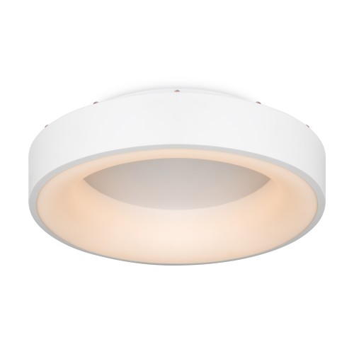 Потолочный светильник Freya FR6118CL-L45W