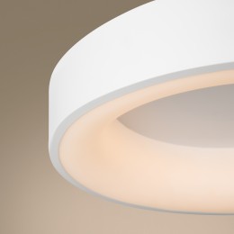 Потолочный светильник Freya FR6118CL-L45W