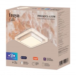 Потолочный светильник Freya FR6243CL-L117W