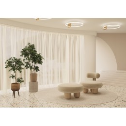 Потолочный светильник Maytoni Anillo MOD315CL-L25G3K