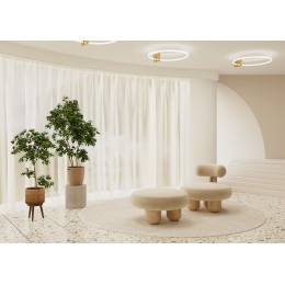 Потолочный светильник Maytoni Anillo MOD315CL-L25G3K