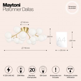 Потолочный светильник Maytoni Dallas MOD545CL-20BS