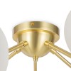 Потолочный светильник Maytoni Dallas MOD545CL-20BS