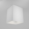 Потолочный светильник Technical C015CL-01W