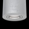 Потолочный светильник Technical C016CL-01S