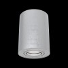 Потолочный светильник Technical C016CL-01S