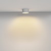 Потолочный светильник Technical C032CL-12W2.7K-RD-W