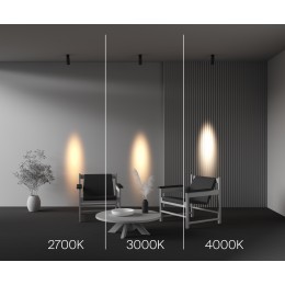 Потолочный светильник Technical C055CL-L12W2.7K-SS-B