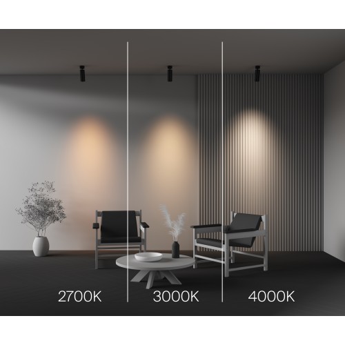 Потолочный светильник Technical C055CL-L20W2.7-3-4K-M-B